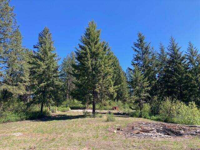 161 Jacknife Lookout Rd, Kettle Falls, WA 99141 - photo 4