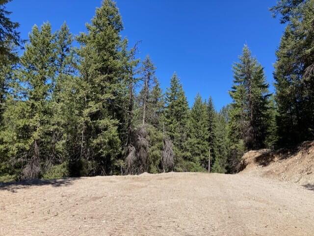 161 Jacknife Lookout Rd, Kettle Falls, WA 99141 - photo 15