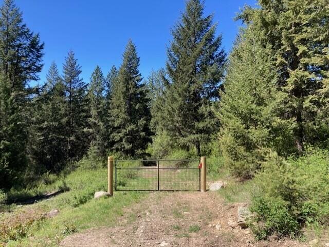 161 Jacknife Lookout Rd, Kettle Falls, WA 99141 - photo 6
