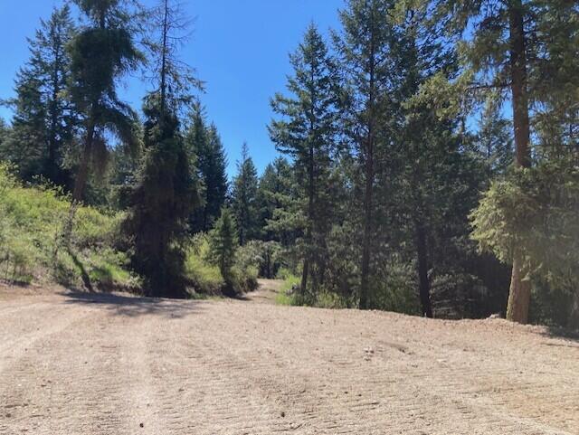 161 Jacknife Lookout Rd, Kettle Falls, WA 99141 - photo 14
