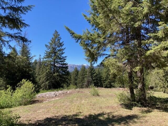 161 Jacknife Lookout Rd, Kettle Falls, WA 99141 - photo 3