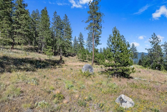 715 Palmer Ln, Chewelah, WA 99109 - view of undeveloped land featuring a mountain backdrop
