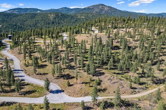 715 Palmer Ln, Chewelah, WA 99109 - aerial view of property and surrounding area with a heavily wooded area and a mountain backdrop
