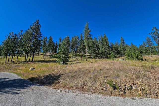 715 Palmer Ln, Chewelah, WA 99109 - view of nature