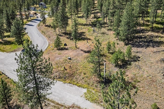 715 Palmer Ln, Chewelah, WA 99109 - aerial view