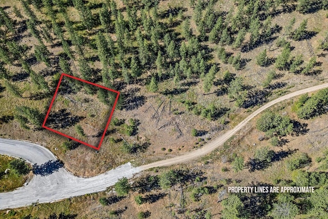 715 Palmer Ln, Chewelah, WA 99109 - aerial view of property and surrounding area featuring property boundaries highlighted