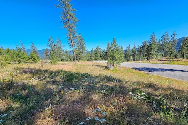 715 Palmer Ln, Chewelah, WA 99109 - view of asphalt street