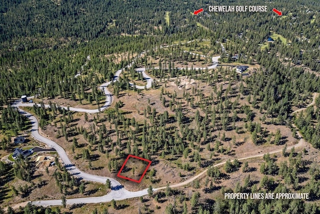 715 Palmer Ln, Chewelah, WA 99109 - view of property location featuring a heavily wooded area and property boundaries highlighted