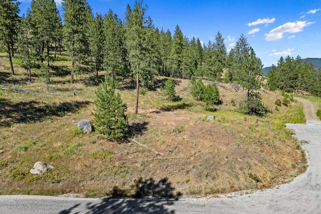 715 Palmer Ln, Chewelah, WA 99109 - view of local wilderness