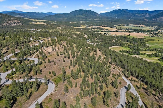 715 Palmer Ln, Chewelah, WA 99109 - aerial overview of property's location featuring mountains and a heavily wooded area