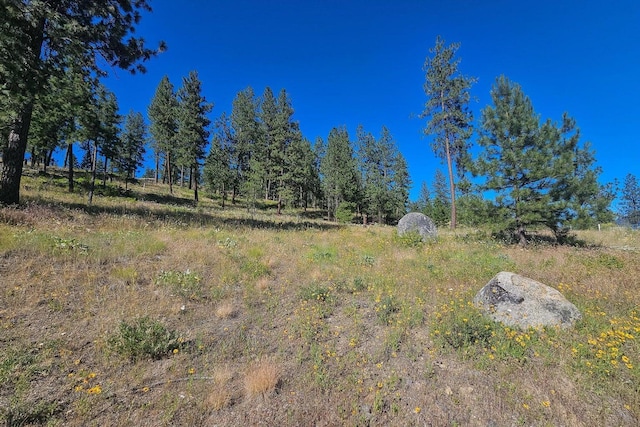 715 Palmer Ln, Chewelah, WA 99109 - view of undeveloped land
