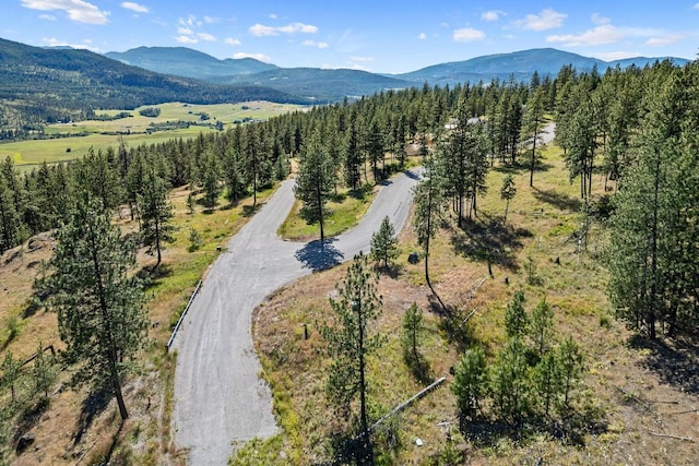 715 Palmer Ln, Chewelah, WA 99109 - aerial view of a mountainous background