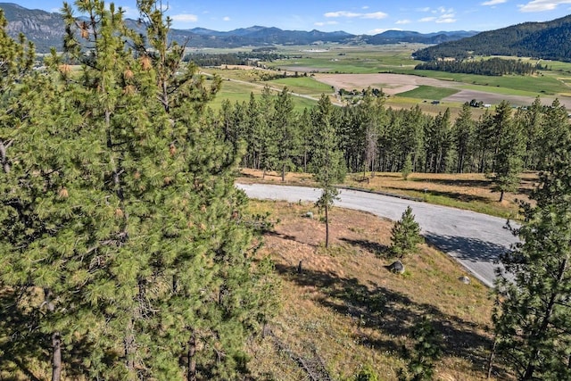 715 Palmer Ln, Chewelah, WA 99109 - view of mountain backdrop with rural landscape