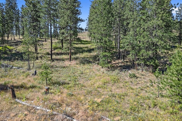 715 Palmer Ln, Chewelah, WA 99109 - view of undeveloped land