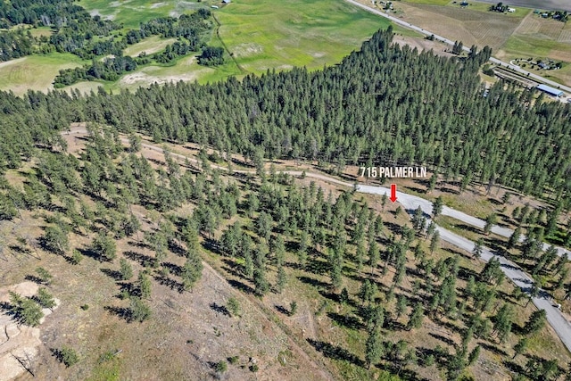 715 Palmer Ln, Chewelah, WA 99109 - aerial overview of property's location