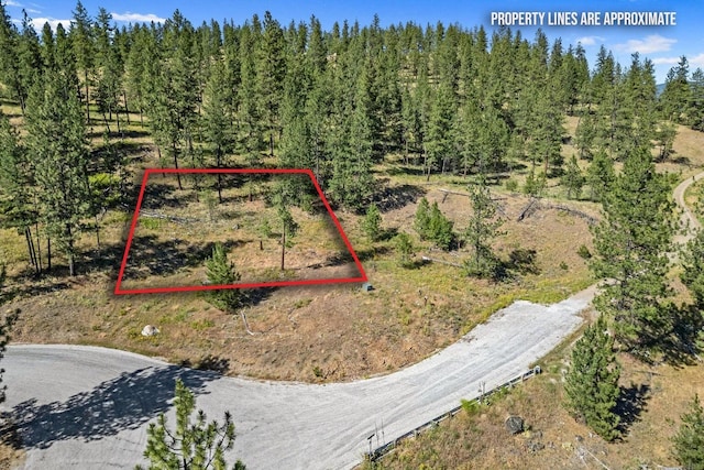 715 Palmer Ln, Chewelah, WA 99109 - aerial view of property and surrounding area with property boundaries highlighted