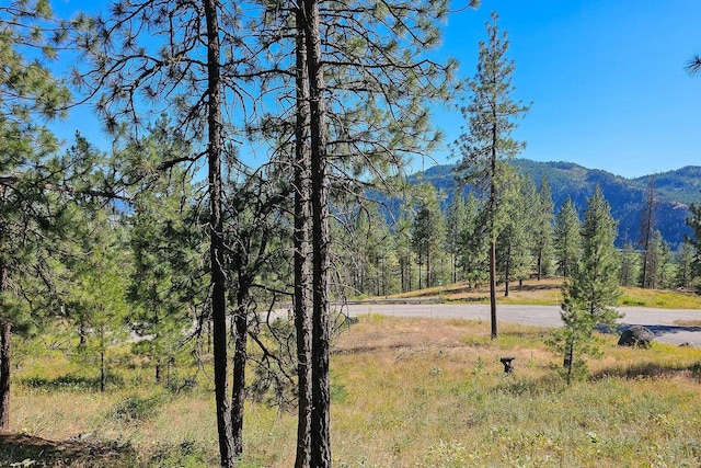715 Palmer Ln, Chewelah, WA 99109 - mountain view with a heavily wooded area