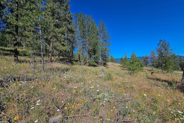 715 Palmer Ln, Chewelah, WA 99109 - view of nature