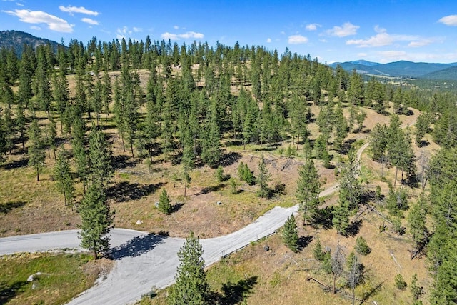 715 Palmer Ln, Chewelah, WA 99109 - bird's eye view of a mountainous background and a forest