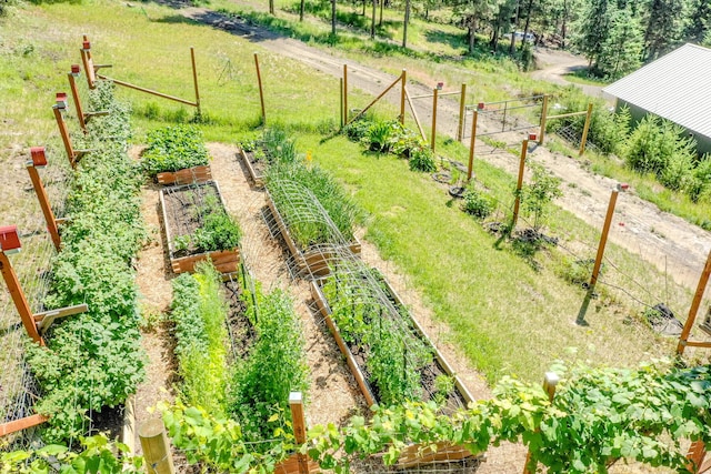 drone / aerial view featuring a rural view