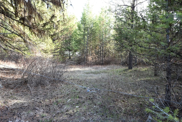 70 Excelsior Way, Curlew, WA 99118 - photo 4