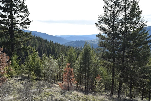 70 Excelsior Way, Curlew, WA 99118 - photo 7