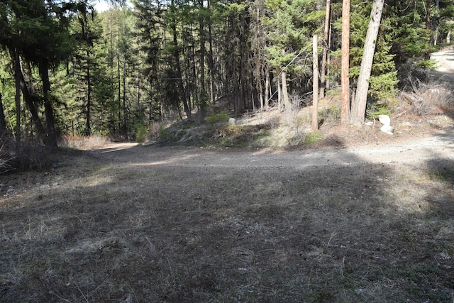 70 Excelsior Way, Curlew, WA 99118 - photo 10