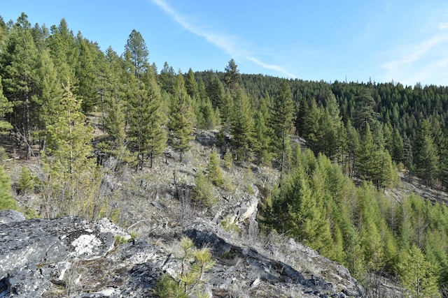 70 Excelsior Way, Curlew, WA 99118 - photo 5