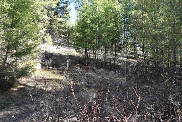 70 Excelsior Way, Curlew, WA 99118 - photo 12