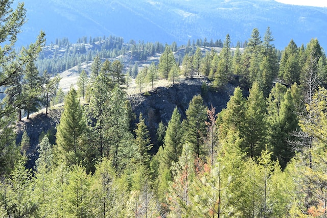 70 Excelsior Way, Curlew, WA 99118 - photo 13