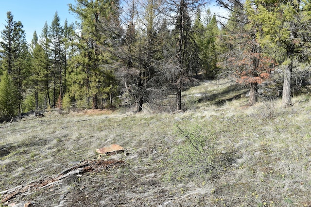 70 Excelsior Way, Curlew, WA 99118 - photo 6