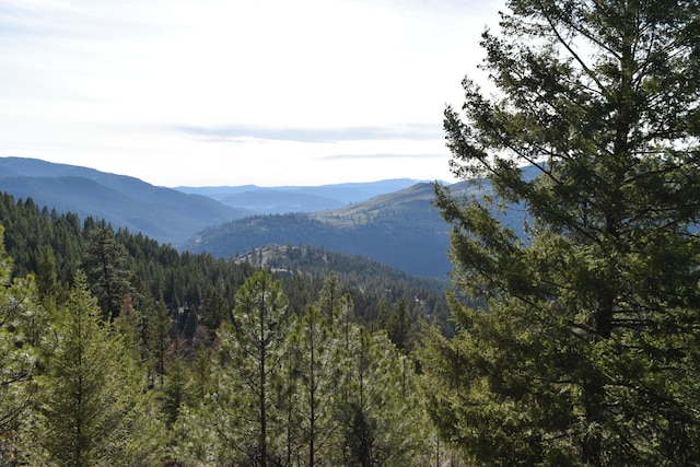 70 Excelsior Way, Curlew, WA 99118 - photo 2