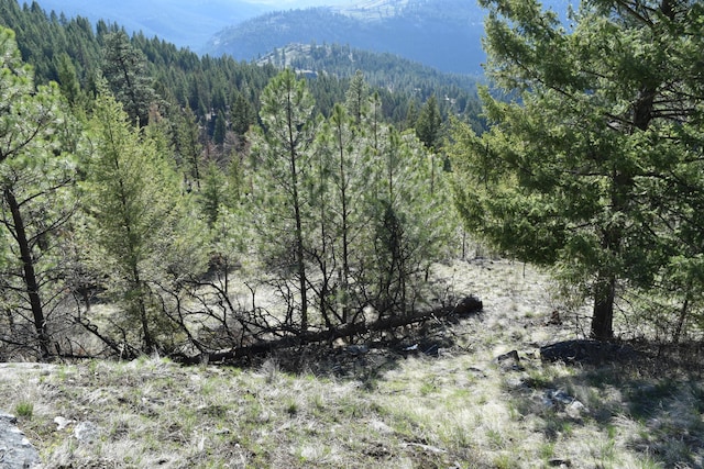 70 Excelsior Way, Curlew, WA 99118 - photo 8