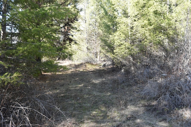 70 Excelsior Way, Curlew, WA 99118 - photo 11