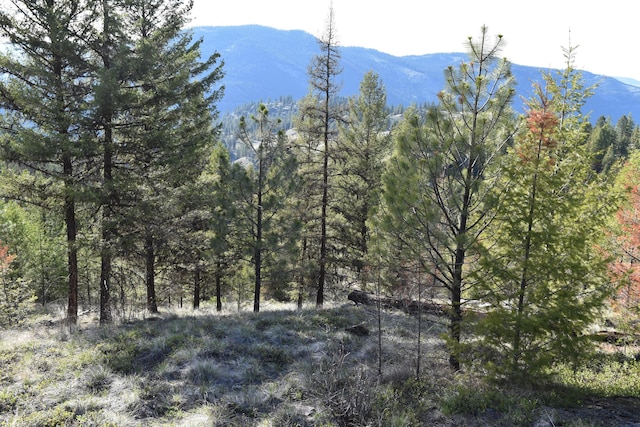 70 Excelsior Way, Curlew, WA 99118 - photo 3