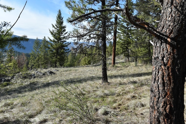 70 Excelsior Way, Curlew, WA 99118 - photo 1