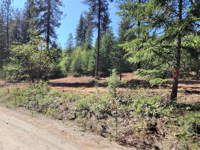 TBD Columbia Dr, Kettle Falls WA, 99141 land for sale