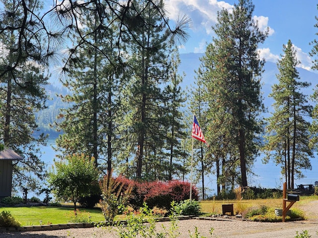 Listing photo 3 for TBD Columbia Dr, Kettle Falls WA 99141