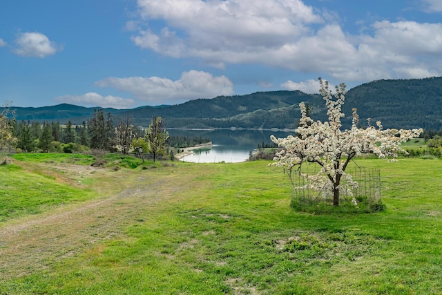 5061 Hunters Campground Rd, Hunters, WA 99137 - photo 60