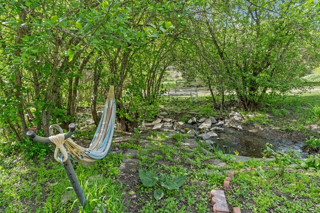 3063 Hungry Hill Rd, Kettle Falls, WA 99141 - view of yard