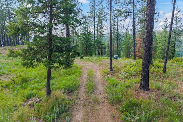 694 Palmer Ln, Chewelah, WA 99109