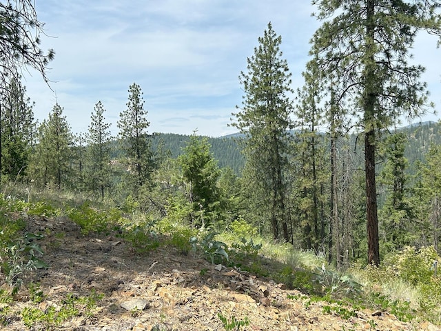 694 Palmer Ln, Chewelah, WA 99109