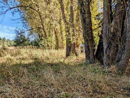 4439 Whittier Rd, Clayton, WA 99110 - photo 31
