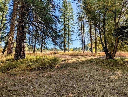 4439 Whittier Rd, Clayton, WA 99110 - photo 33