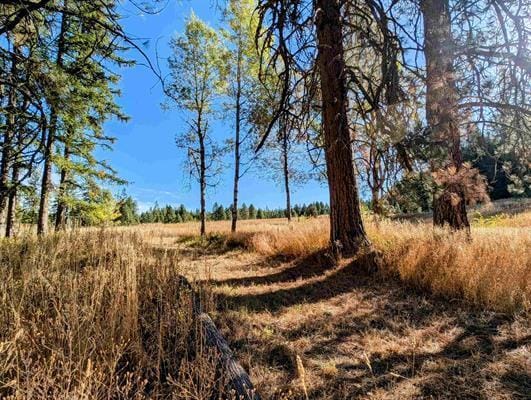 4439 Whittier Rd, Clayton, WA 99110 - photo 30