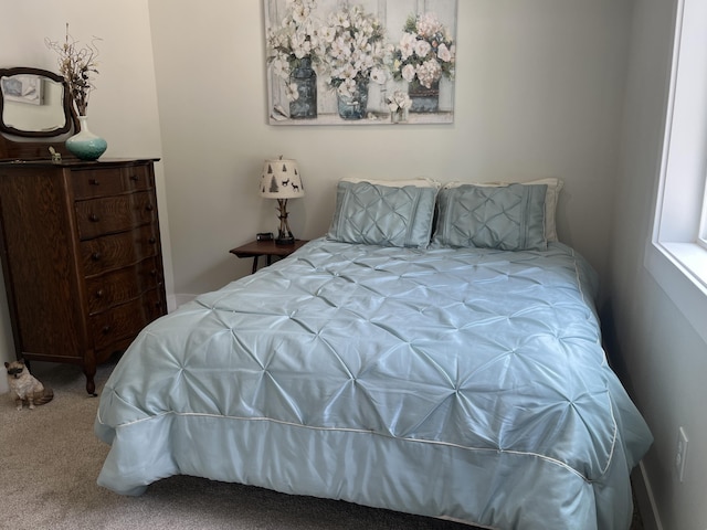 bedroom with carpet
