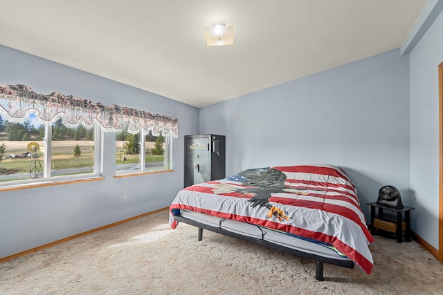 1076 Starvation Lake Rd, Colville, WA 99114 - photo 63