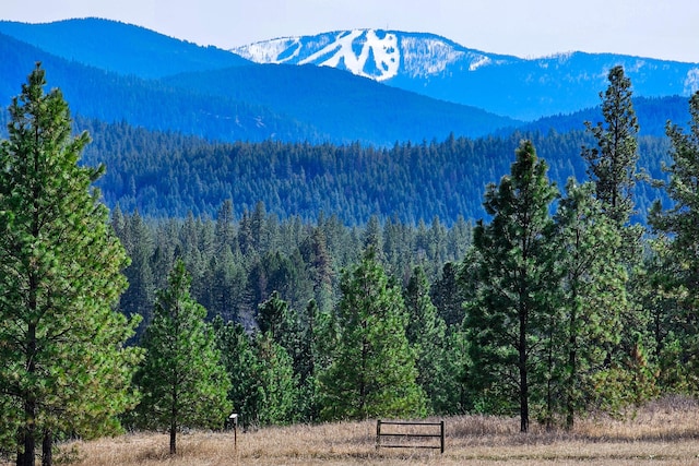 1076 Starvation Lake Rd, Colville, WA 99114 - photo 46