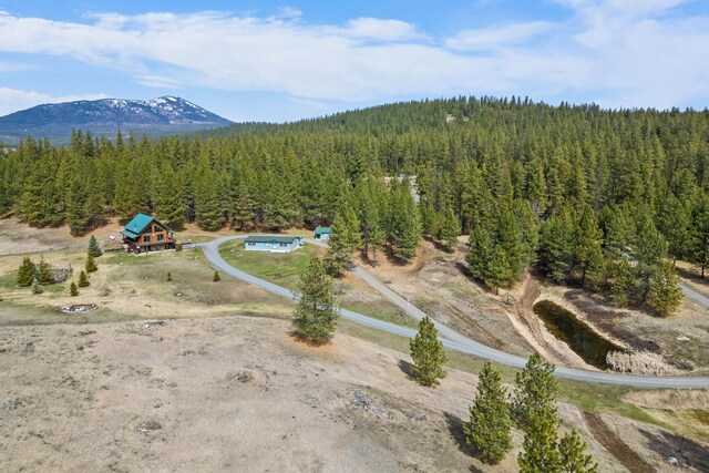 1076 Starvation Lake Rd, Colville, WA 99114 - photo 69