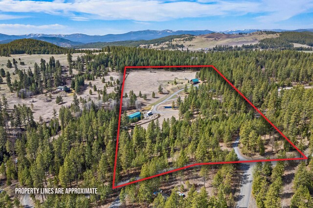 1076 Starvation Lake Rd, Colville, WA 99114 - photo 5